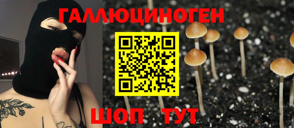 Галлюциногенные грибы Cubensis  Галлюциногенные грибы мицелий  Кемерово  Вход с VPN 