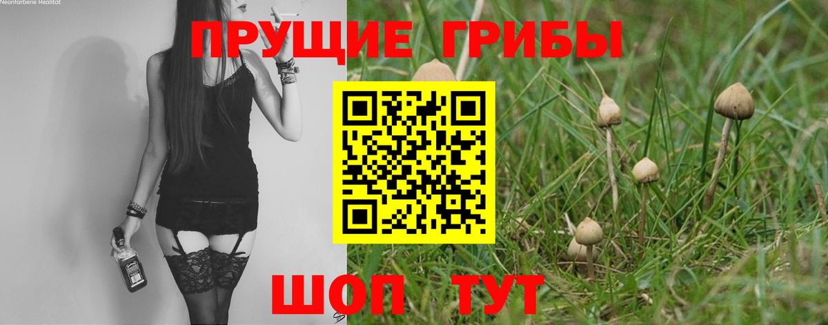 Псилоцибиновые грибы мухоморы Кемерово